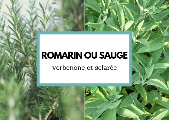 acné sauge ou romarin